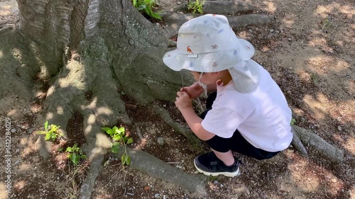 Wallpaper Mural 枝を使って遊ぶ子どもと木漏れ日 Torontodigital.ca