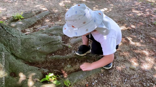 Wallpaper Mural 枝を使って遊ぶ子どもと木漏れ日 Torontodigital.ca