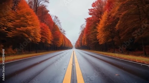 road in autumn forest