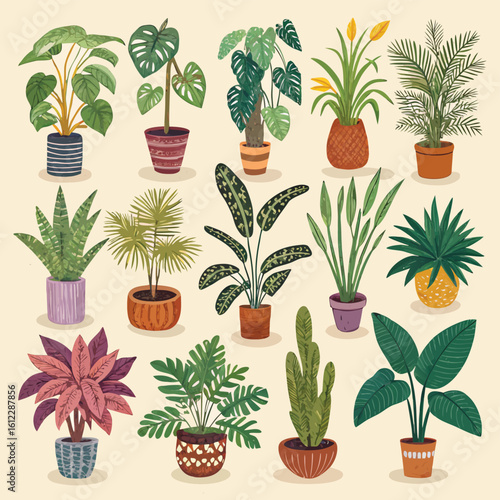 Collection of Twelve Potted Houseplants in Various Styles and Colors potted plants indoor plants