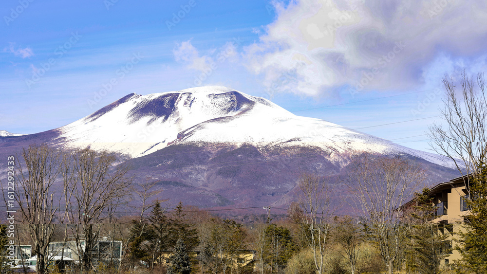 Fototapeta premium 日本周遊 軽井沢冬物語