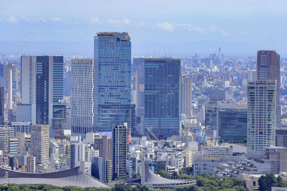 Obraz premium 都心散歩 都庁展望フロアかの眺め