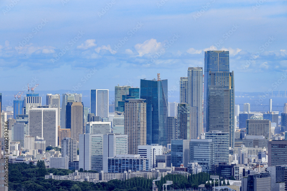 Fototapeta premium 都心散歩 都庁展望フロアかの眺め