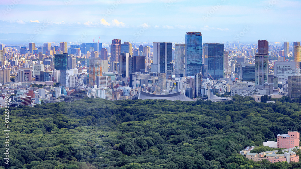 Fototapeta premium 都心散歩 都庁展望フロアかの眺め