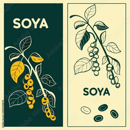Two graphic designs featuring soya bean plants and beans soybean agriculture food