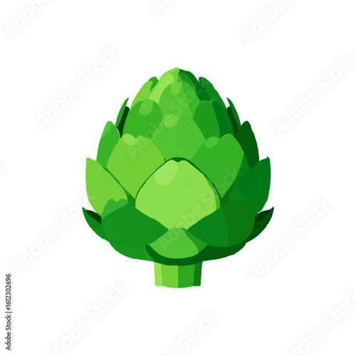Artichoke on white background

