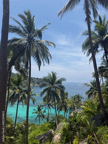 Wallpaper Mural Tropical Paradise View with Palm Trees and Turquoise Ocean in Southeast Asia Torontodigital.ca