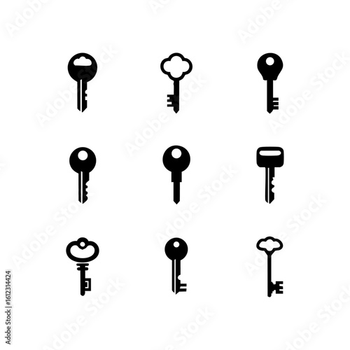 Set of nine modern vector key icons in black, representing access, security, privacy, and control in various simple minimalist styles.

