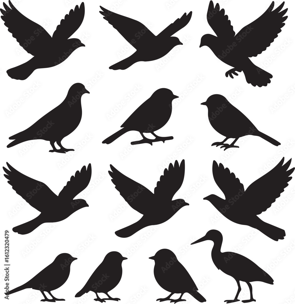 Fototapeta premium vector set of bird silhouettes on white background
