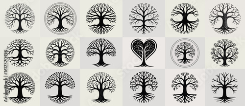 Collection of stylized trees with roots and branches in an oval shape