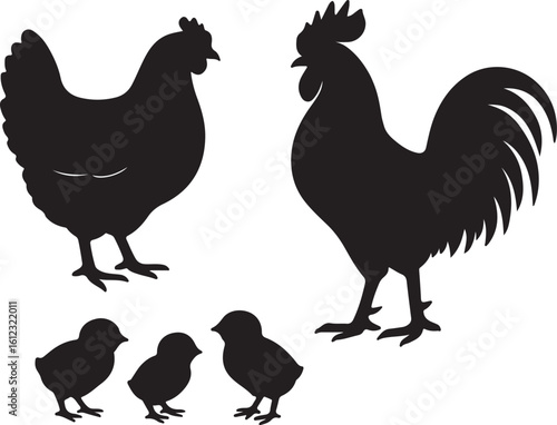 vector set of hen or chicken, rooster and chicks silhouettes   on white background