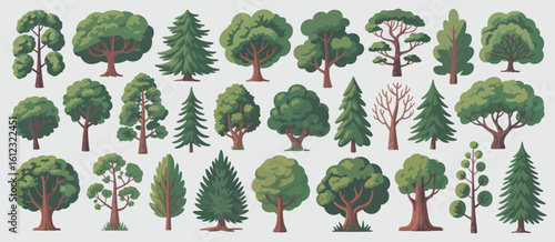 Collection of diverse deciduous and coniferous trees in various shapes and sizes