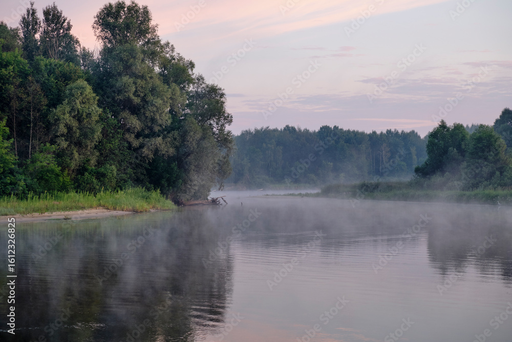 Fototapeta premium foggy orning on the lake