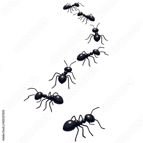 Ant trail on forest floor