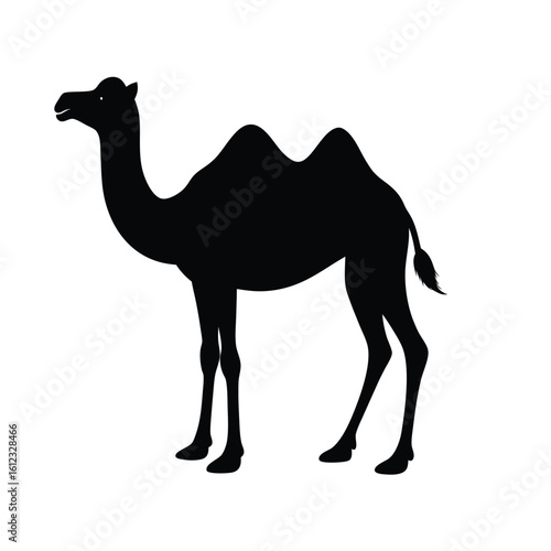 Majestic camel silhouette standing on white background