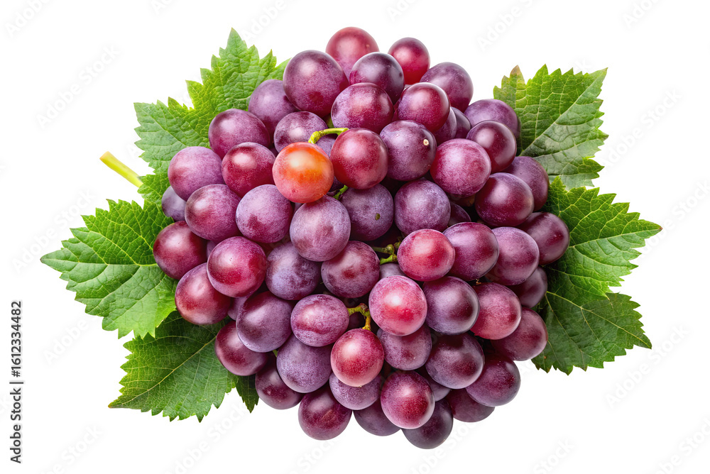 Fototapeta premium A lush bunch of ripe red grapes adorned with vibrant green leaves isolated on transparent background