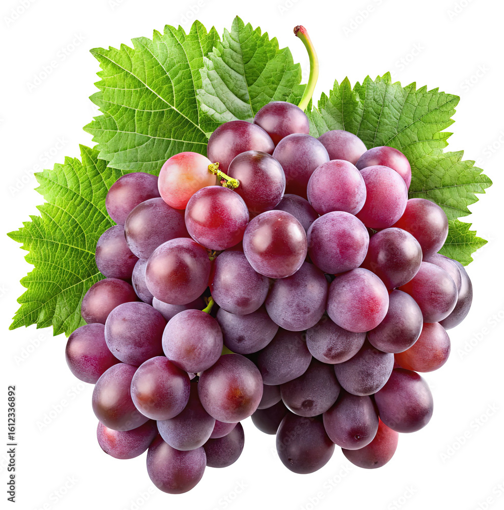 Fototapeta premium A ripe bunch of deep purple grapes with green leaves isolated on transparent background