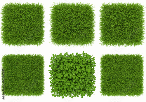 Vibrant green grass patches and a clover patch are beautifully arranged on a clean white background, perfect for landscaping or nature projects.