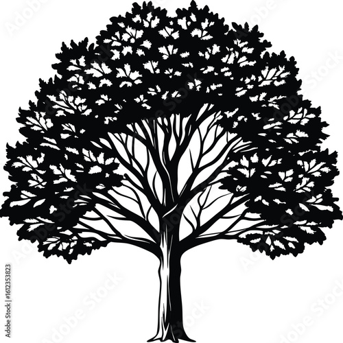 Detailed black and white silhouette of a deciduous tree with a full canopy and exposed branches