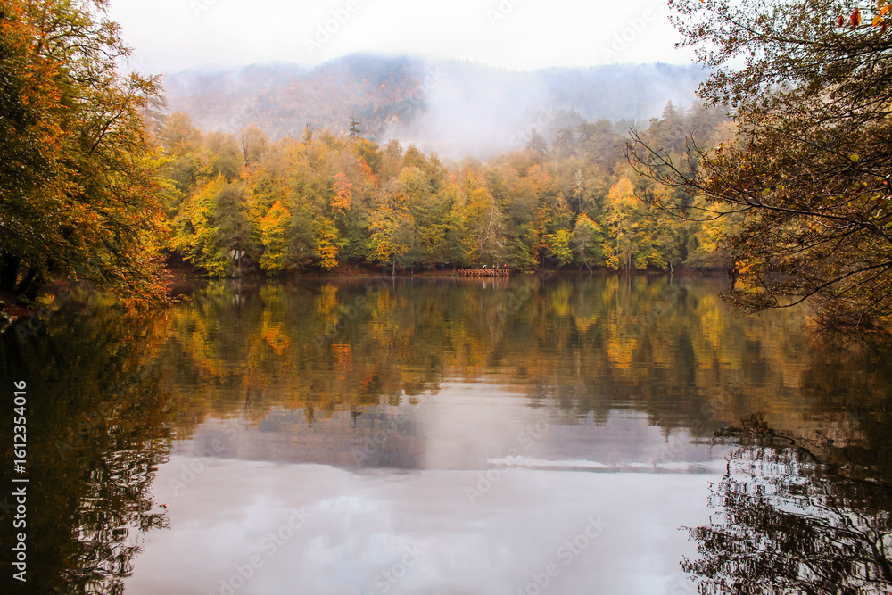 Fototapeta premium Reflection of fog and forest landscape in the water at Yedigöller National Park in Bolu, Türkiye.