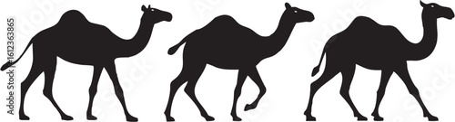 Desert camel animal silhouette isolated on white background minimalist camel logo.