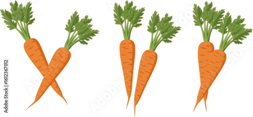Set of three carrots with green leaves on isolated background. Minimalist flat design vegetable pattern. Modern clean illustration style perfect for food packaging and healthy eating blogs, articles