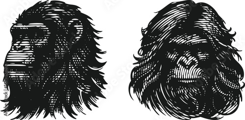  Monochrome lined photocopy engraving bundle ape portrait with long hair detailed art design