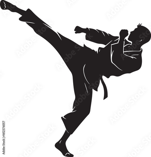 Silhouette of a martial artist executing a dynamic high kick action in training