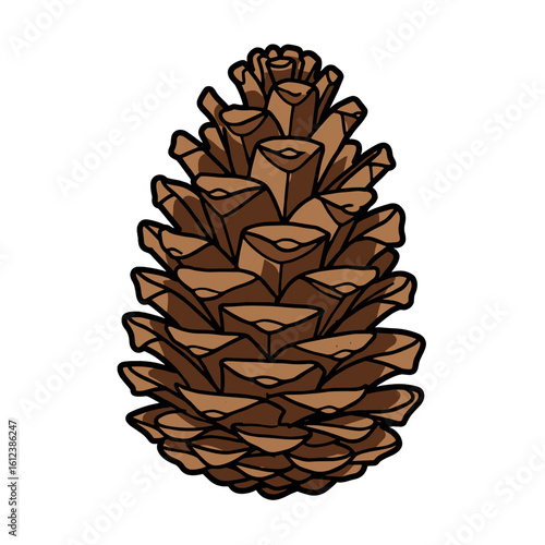 Brown pine cone illustration in hand-drawn flat vector style  