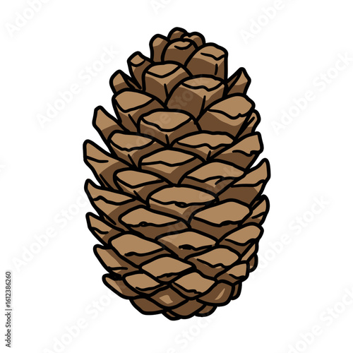 Pine cone illustration in hand-drawn flat vector style  