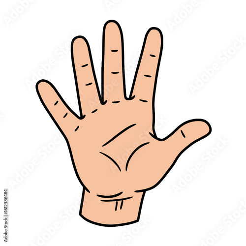 Hand-drawn vector illustration of a human hand with five fingers  