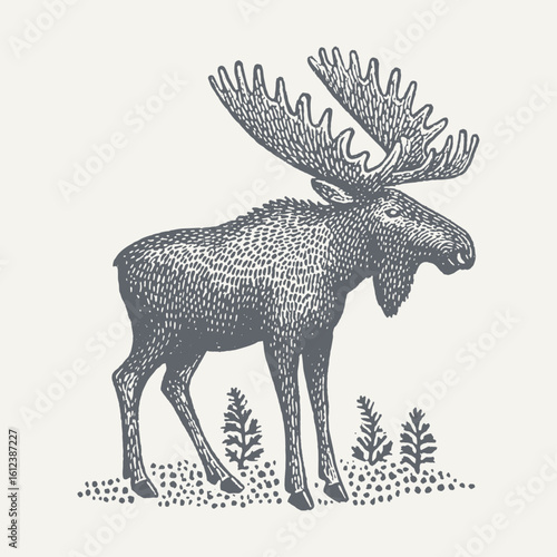 A striking black and white illustration of a majestic moose with impressive antlers in a woodland setting.