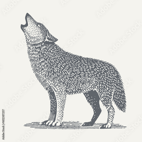 A striking black and white illustration of a wolf howling under the open sky.