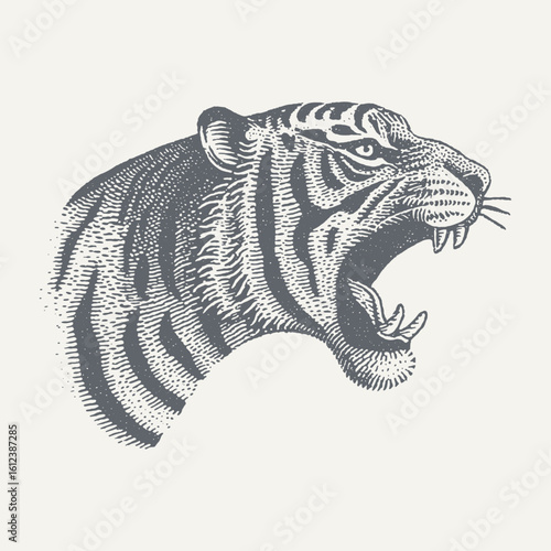 An intense black and white drawing of a roaring tiger's face.