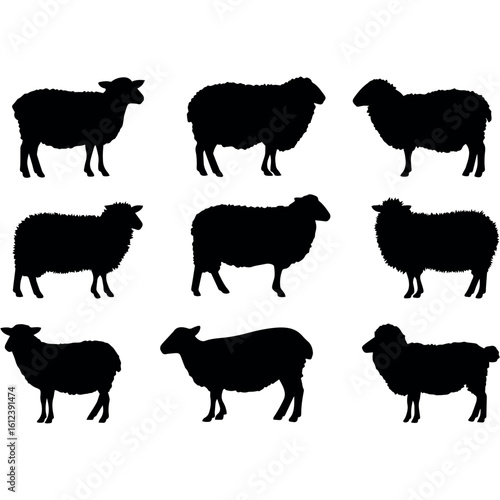 Clean and modern vector  sheep silhouette vector art illustration graphic design template farm animal livestock ewe ram lamb wool mutton flock 100