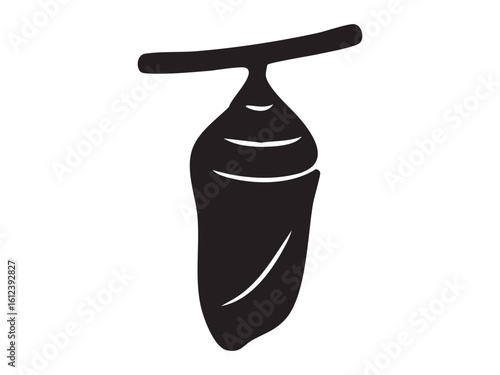 Black silhouette of butterfly chrysalis hanging on twig isolated on white background, graphic illustration. Concept of metamorphosis, transformation stage, nature cycle, growth symbol, design element