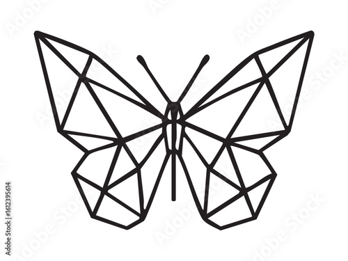 Geometric outline of butterfly in polygonal linear style, isolated on white background, graphic illustration. Concept of abstract insect, modern tattoo design, sacred geometry, minimal nature element