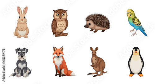 Collection of diverse animals including a rabbit owl hedgehog and a budgie with other wildlife shown