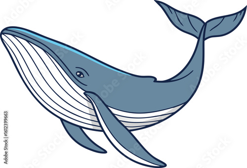 marine mammal isolated ocean illustration
