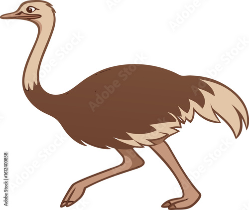 running ostrich isolated bird illustration
