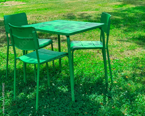 table and chairs in the garden