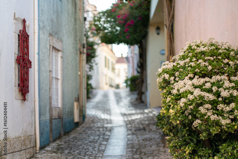 Fototapeta premium Quaint street in Cascais showcases beautiful cobblestones accented by blooming flowers and colorful buildings under soft sunlight. Tranquil atmosphere invites leisurely strolls and exploration.
