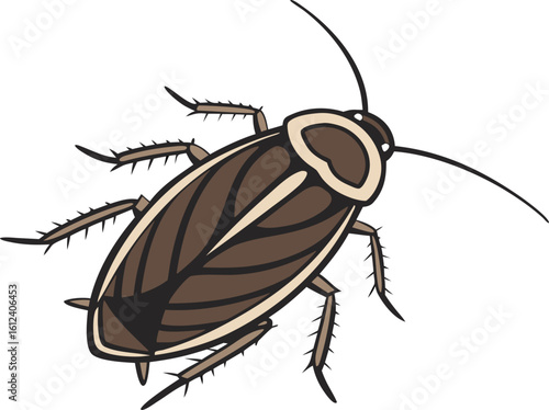 cockroach vector illustration transparent background

