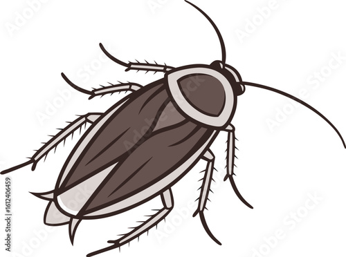 cockroach vector illustration transparent background

