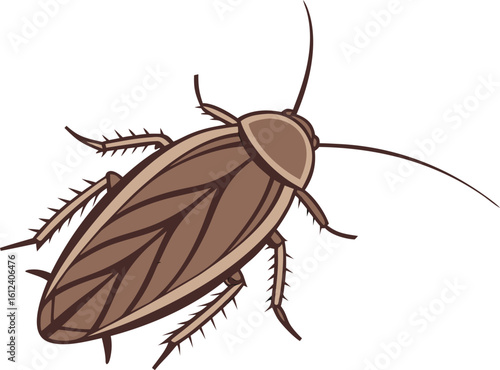 realistic cockroach minimal vector design on white

