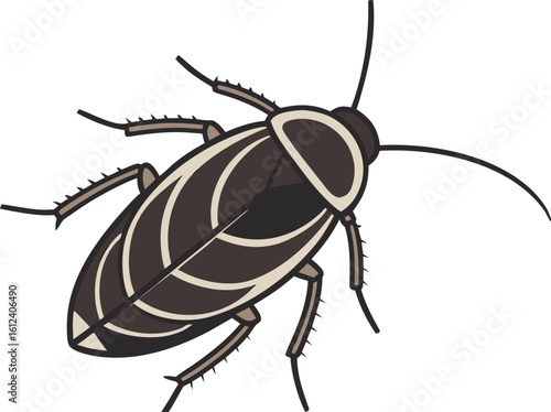 cockroach bug outline icon vector illustration