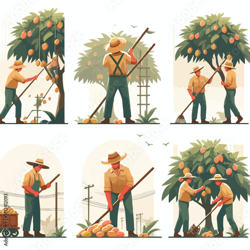image of farmers harvesting mangoes using poles with a simple and minimalist flat design using a white background