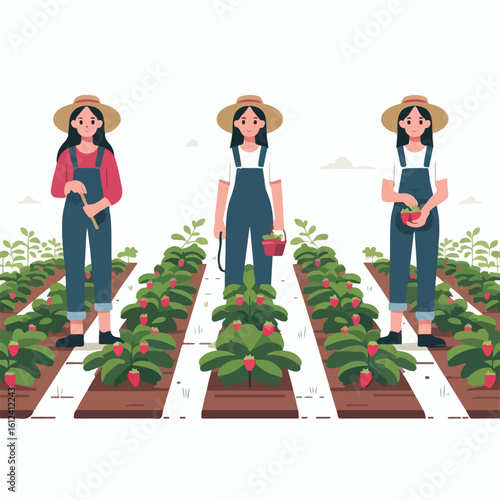 Image of a female farmer in a strawberry garden with a simple and minimalist flat design using a white background