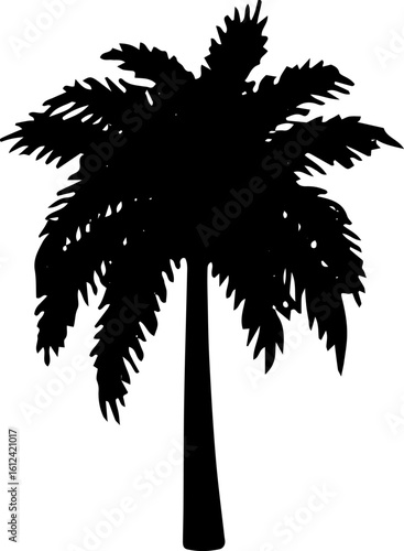 Isolated black palm tree silhouette, a graphic image.