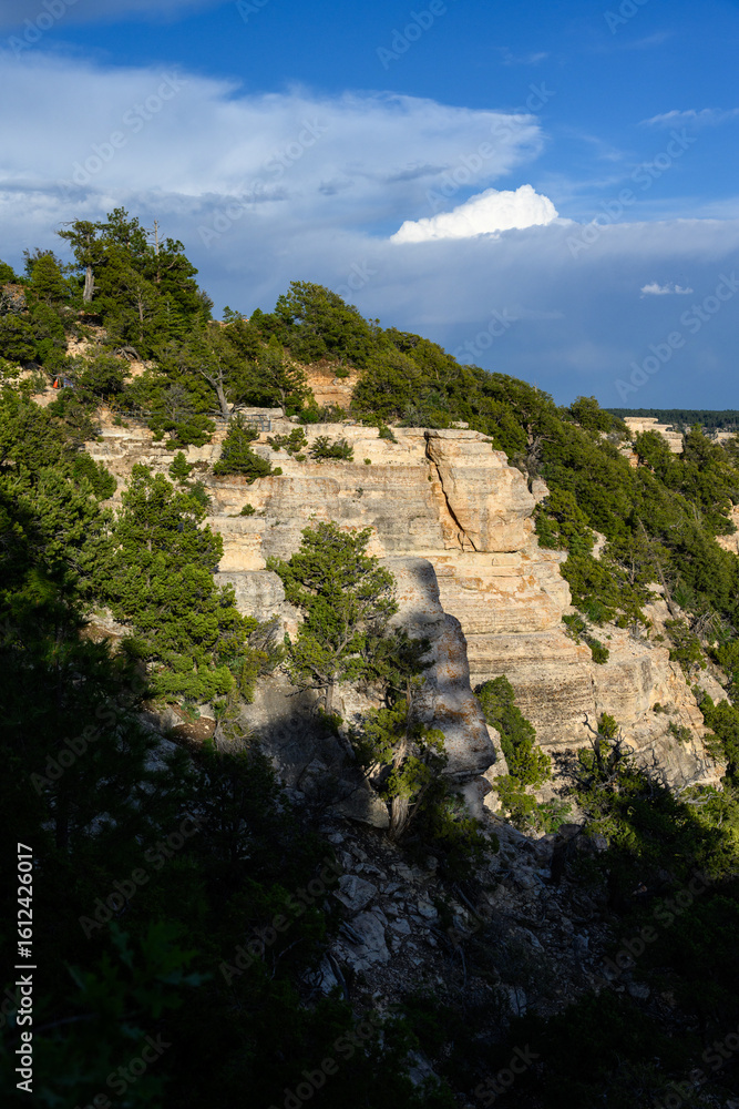 Fototapeta premium Evening soft light on white rock cliff on the north rim of the Grand Canyon, summer vacation in Grand Canyon National Park, Arizona, USA 